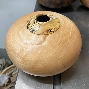 Ash HF w spalted sugarberry cap