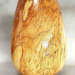 Honey Locust Vase