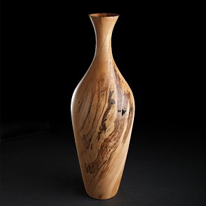 Ambrosia Maple Hollow Form Vase II