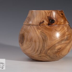 Elm Jar 4.5” tall x 5” diameter