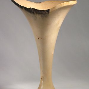 Box Elder Trumpet Vase