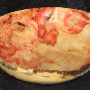 Red Flame Box Elder pic 2