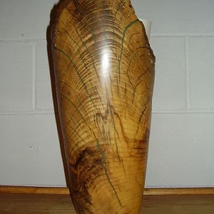 Hackberry vase