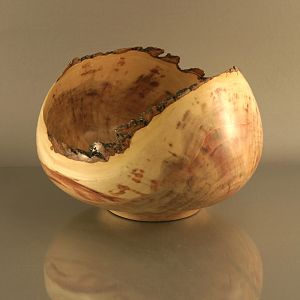 Box Elder Bowl