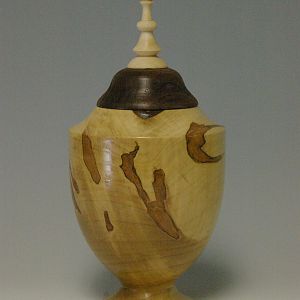 Ambrosa Maple/walnut Hollow Form