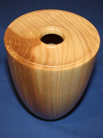 Ash Hollow Form