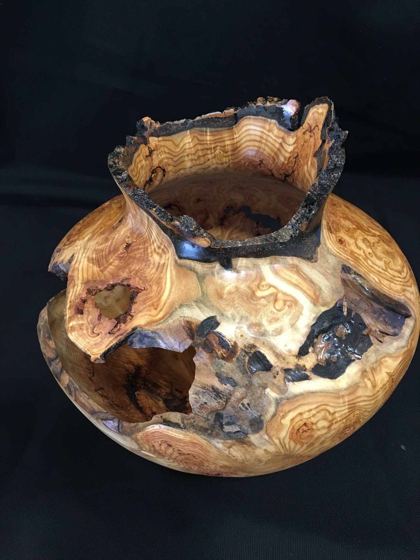 Aspen burl live edge