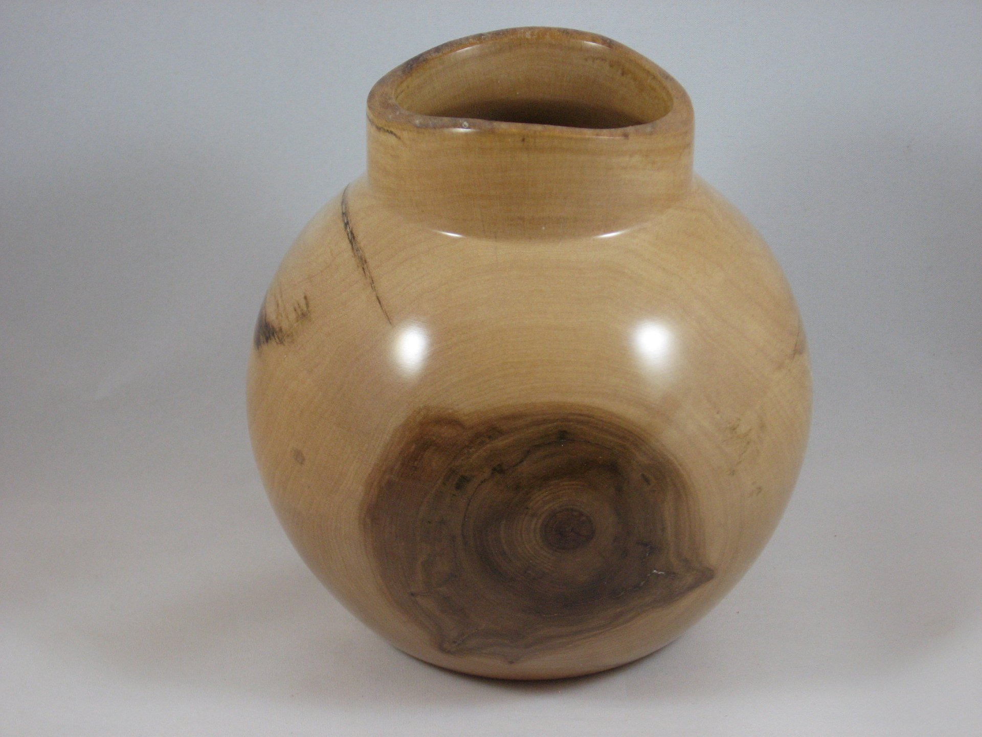 Bigtooth Maple Pot