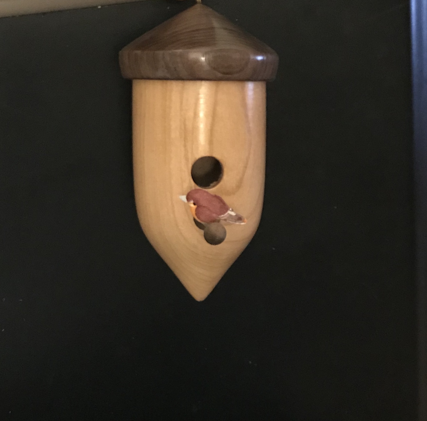 Bird house