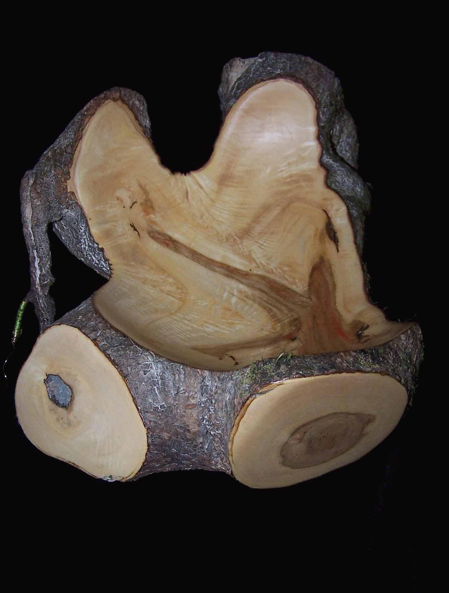 Box Elder Natural Lander