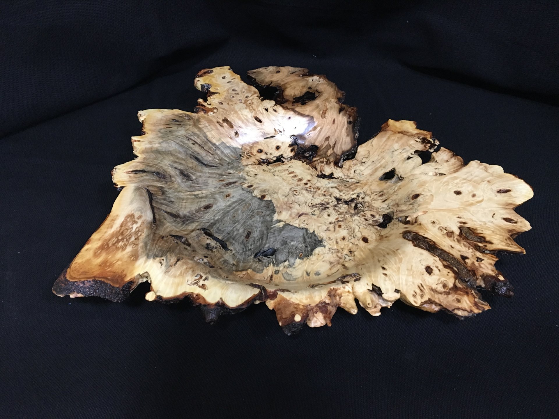 Buckeye burl winged bowl