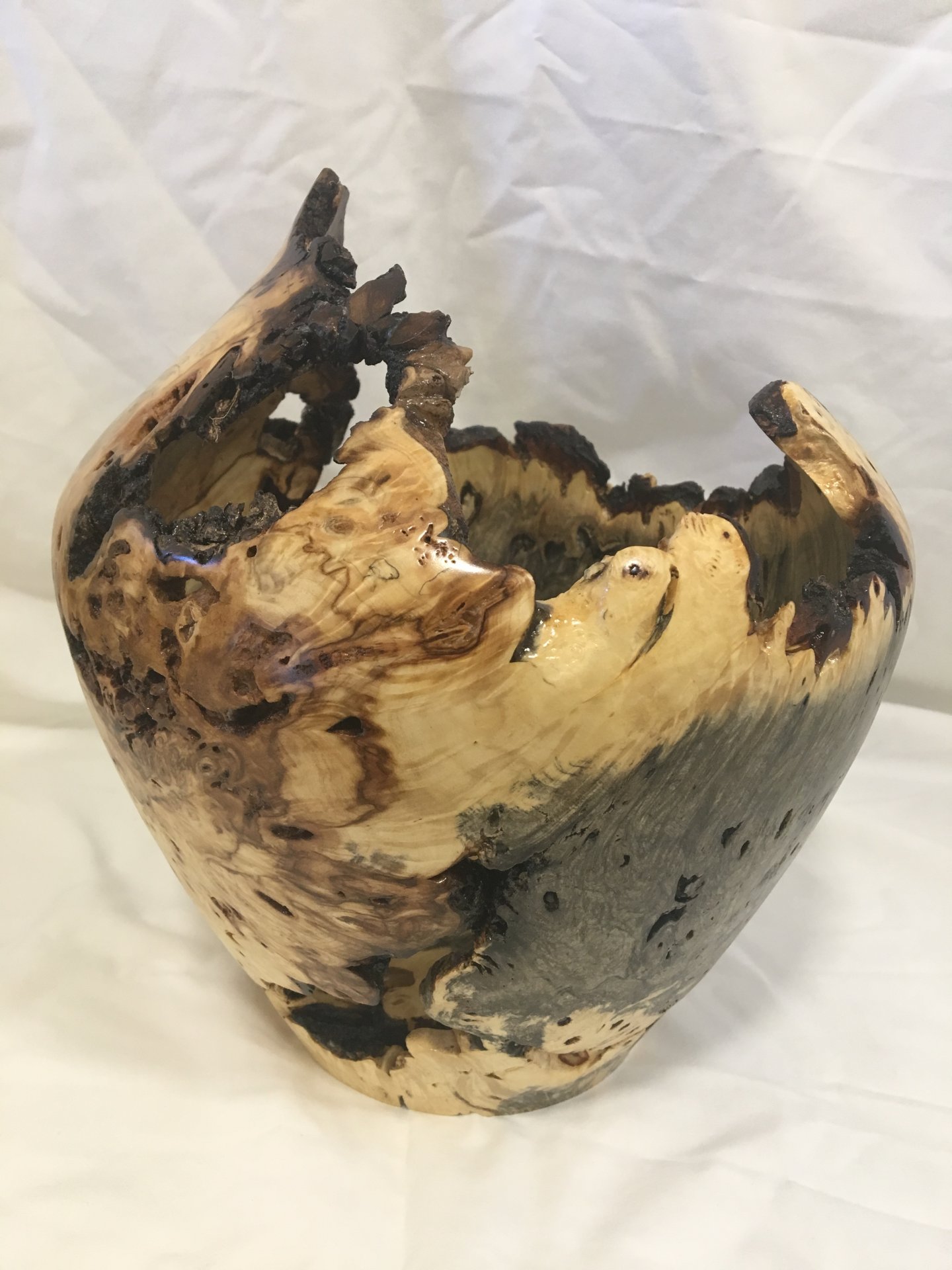 Buckeye burl