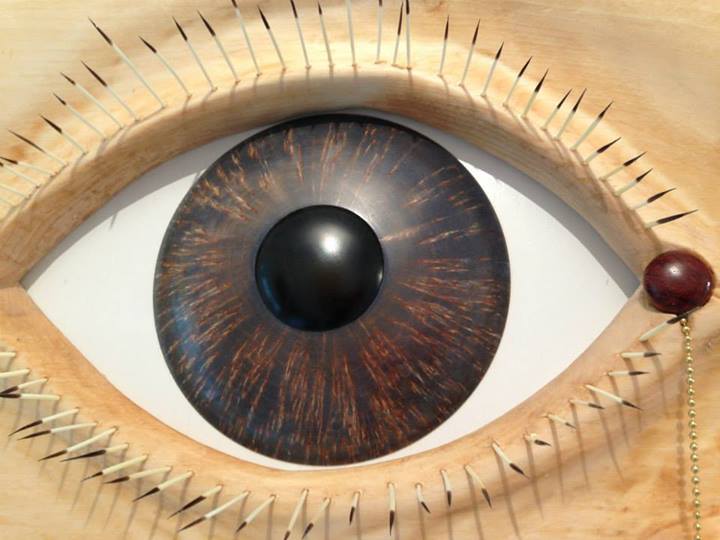 Close up of Masur Birch eye, commemorative project