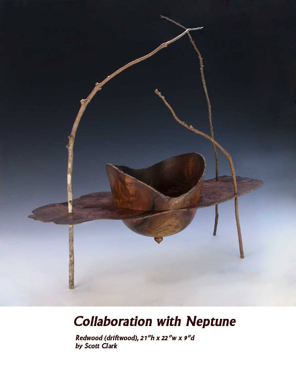 Collaboration with Neptune