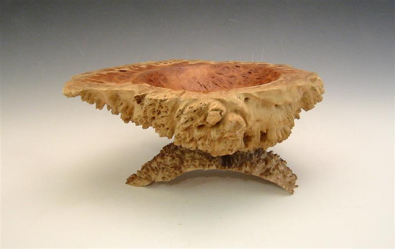 Coolibah Burl