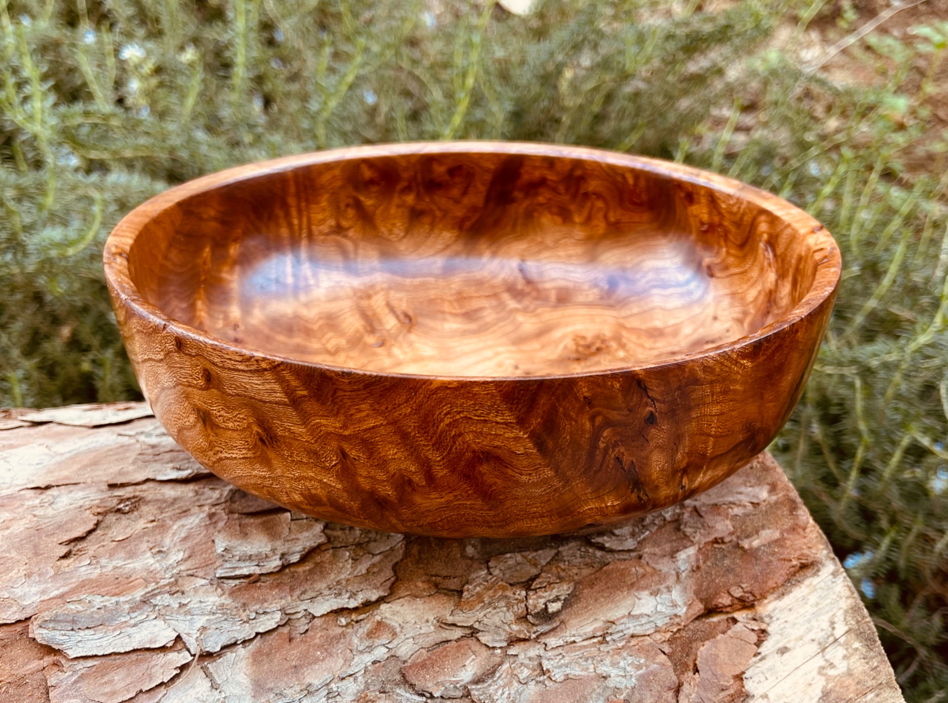 Elm Burl bowl