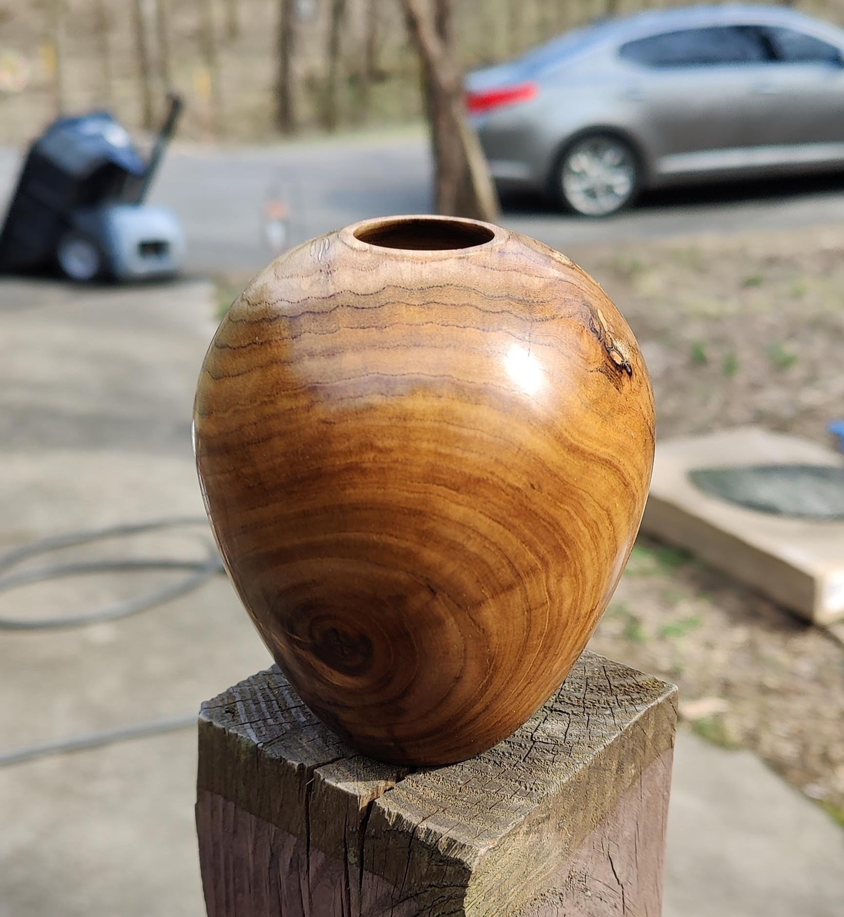 Elm Hollow Form