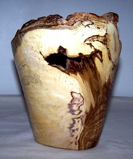 Hackberry Burl1