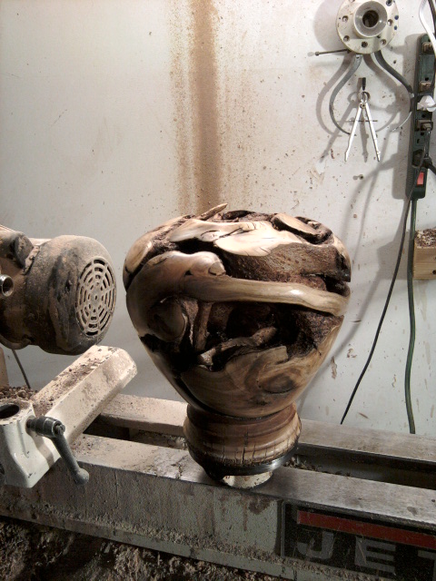 Holly Root Vase almost complete