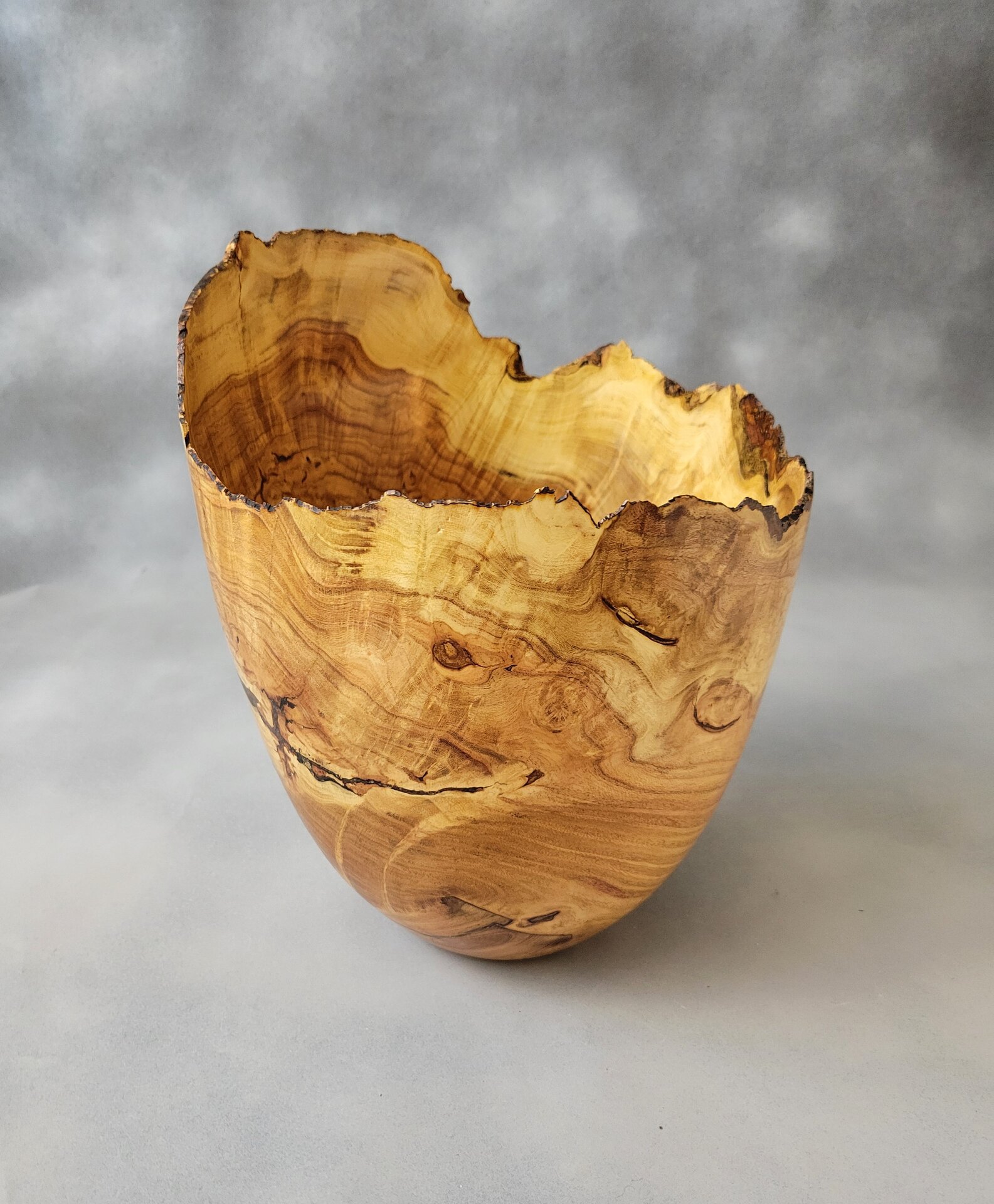 Honey Locust Burl