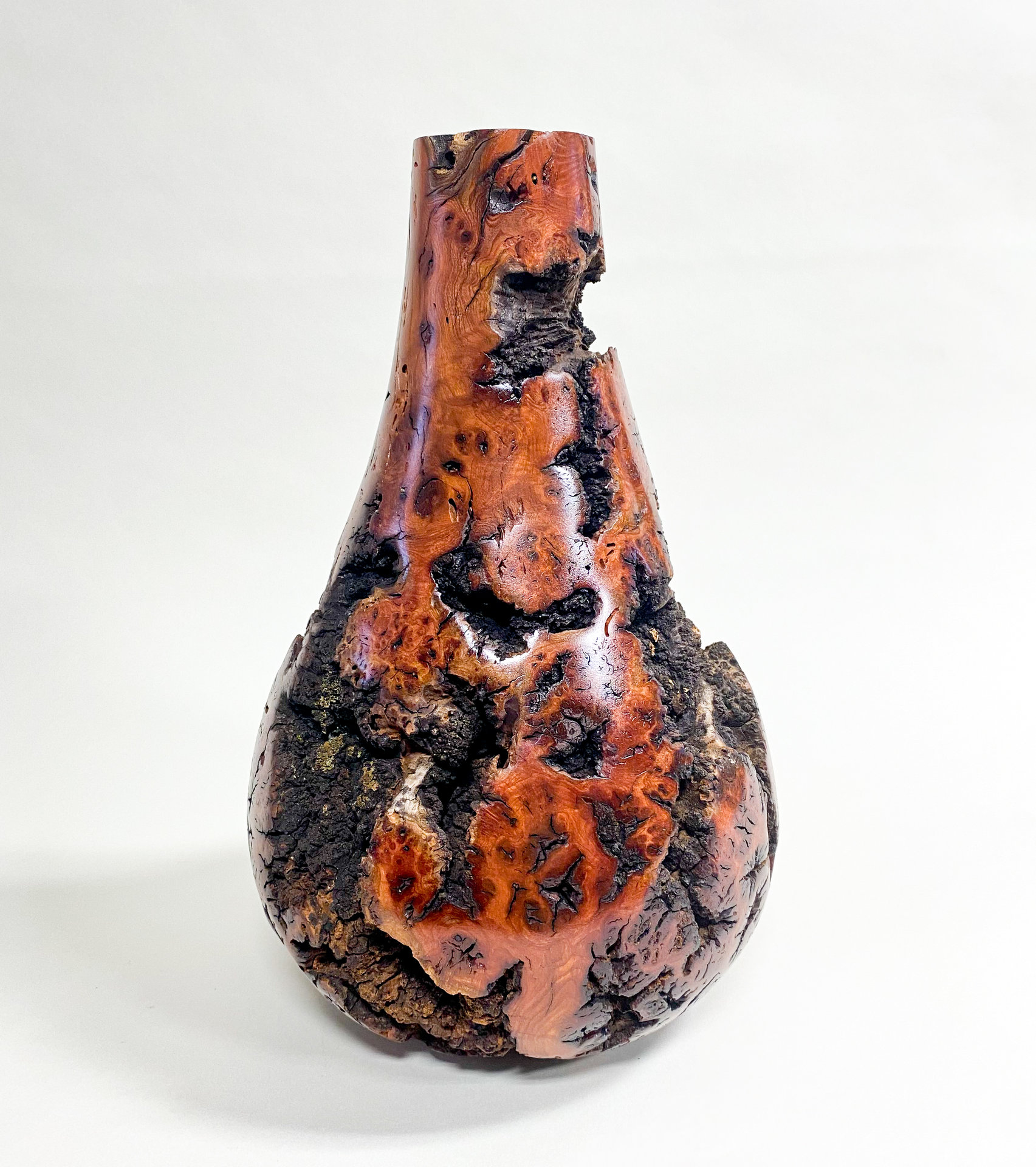 Lilac Root Burl Vase