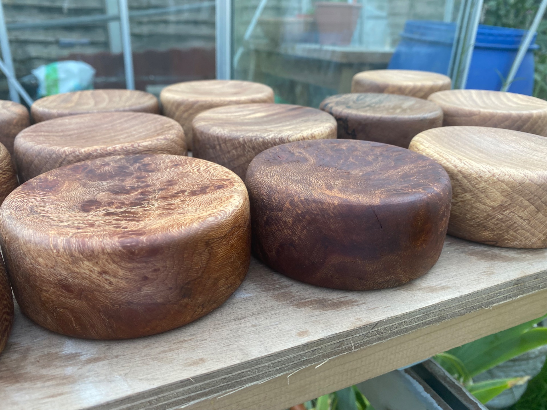 London Plane Pillows