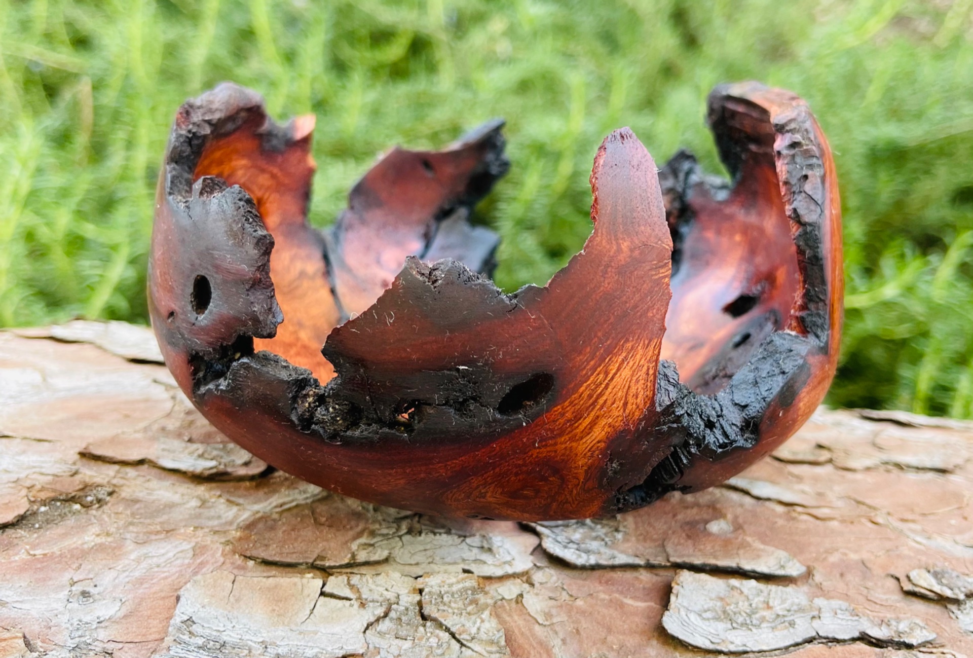 Manzanita burl bowl