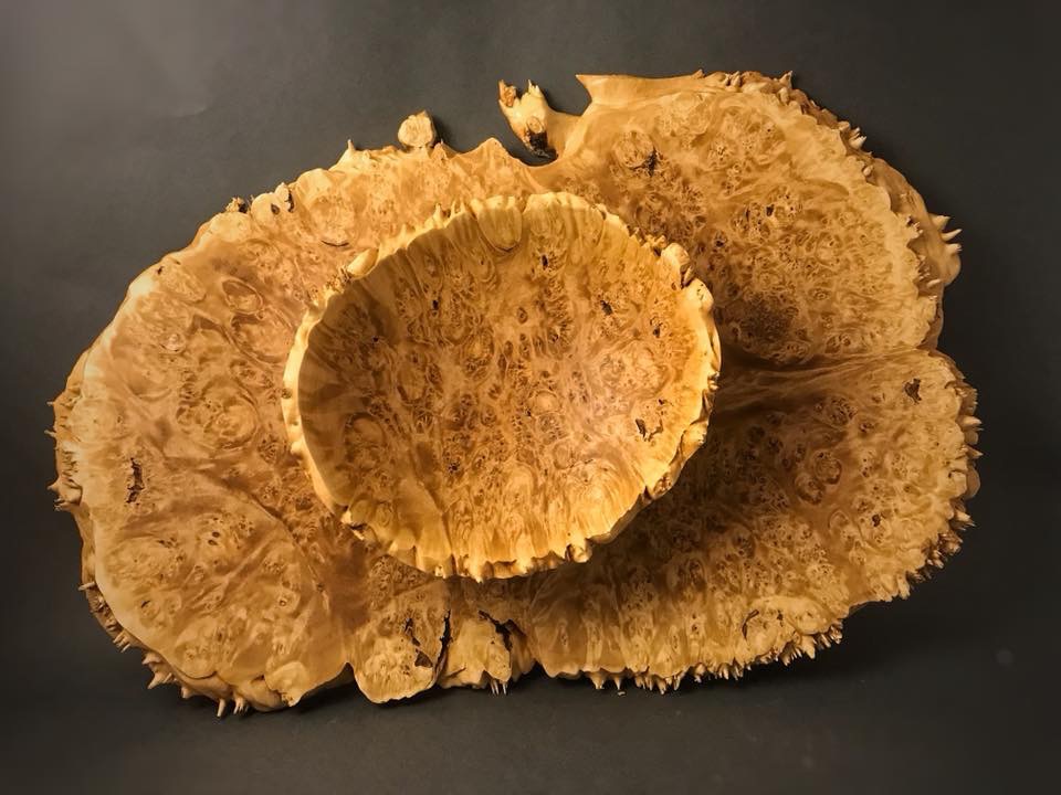 Maple burl emerging bowl