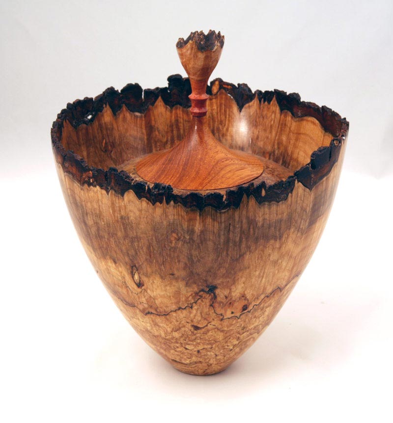 Maple Burl Hollow Form