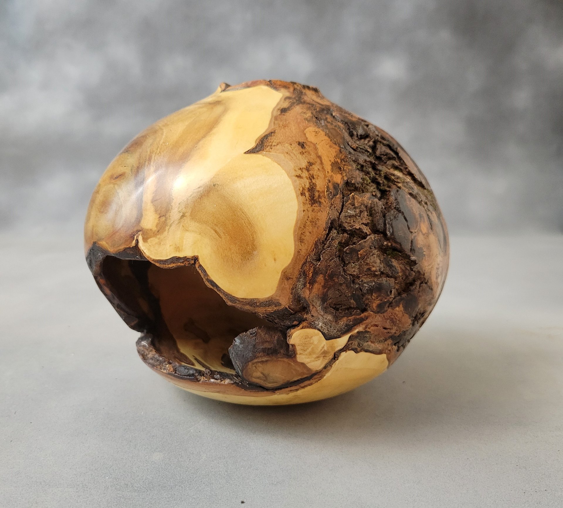 Maple Burl Hollow Form