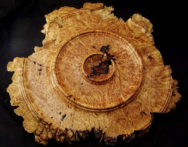 maple burl wall hanging