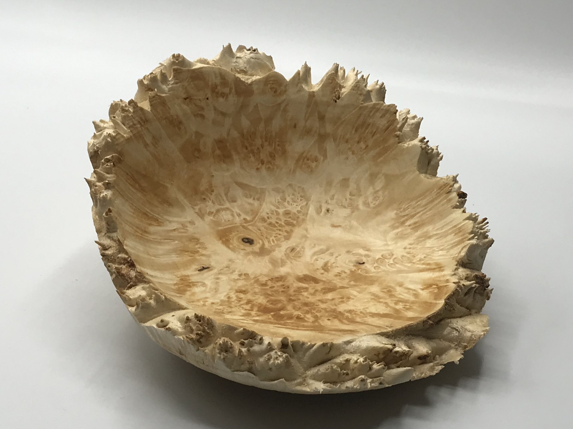 Maple Burl