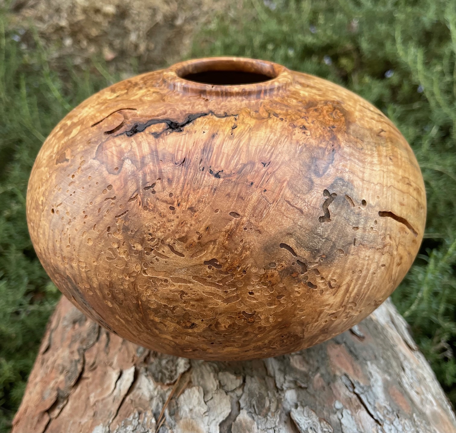 Maple burl