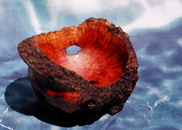 Mesquite Burl