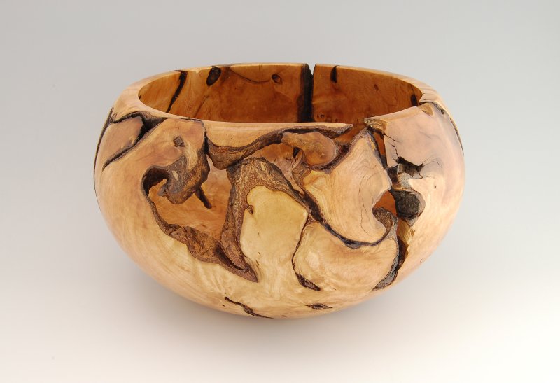 Myoporum Root Ball Bowl