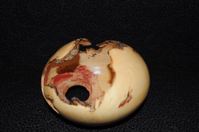 Natural Edge Box Elder Hollow Form