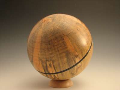 Norfolk Island Pine Sphere