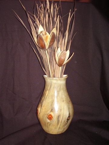 Norfolk Island Pine Wall Vase