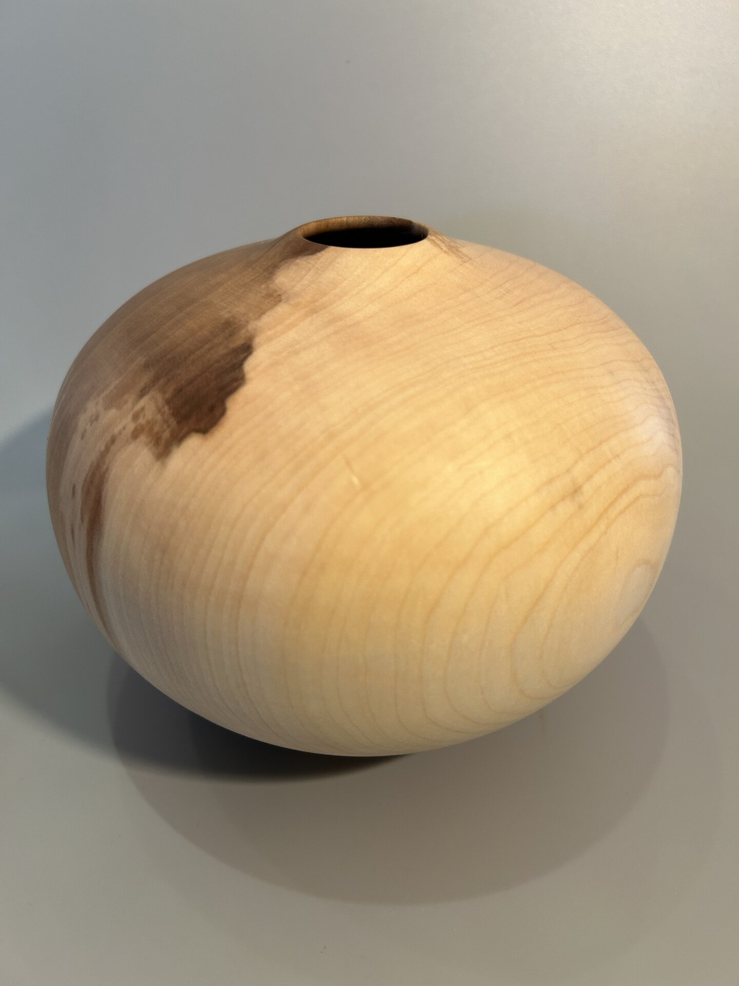 Norway maple hollow form