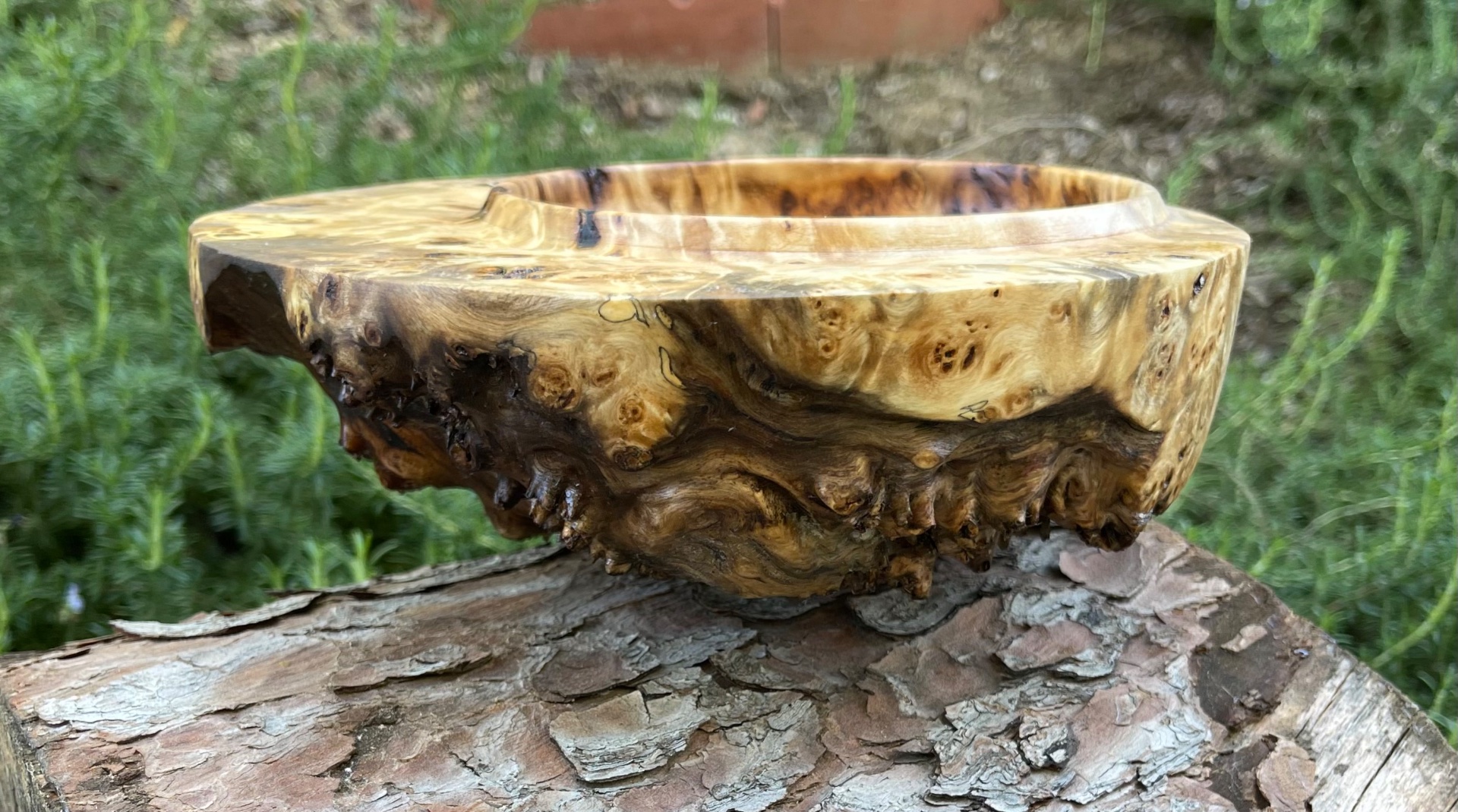 Offset poplar burl bowl