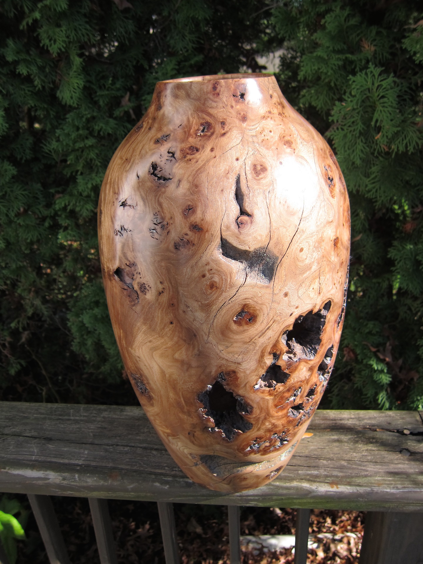 Red Elm Burl Vase