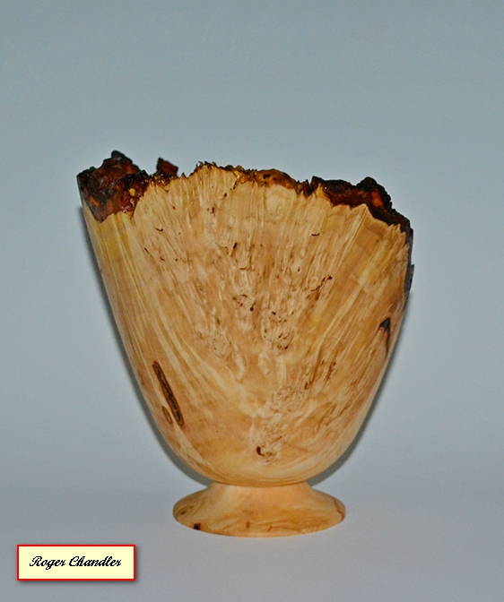 Red Maple Burl Vase