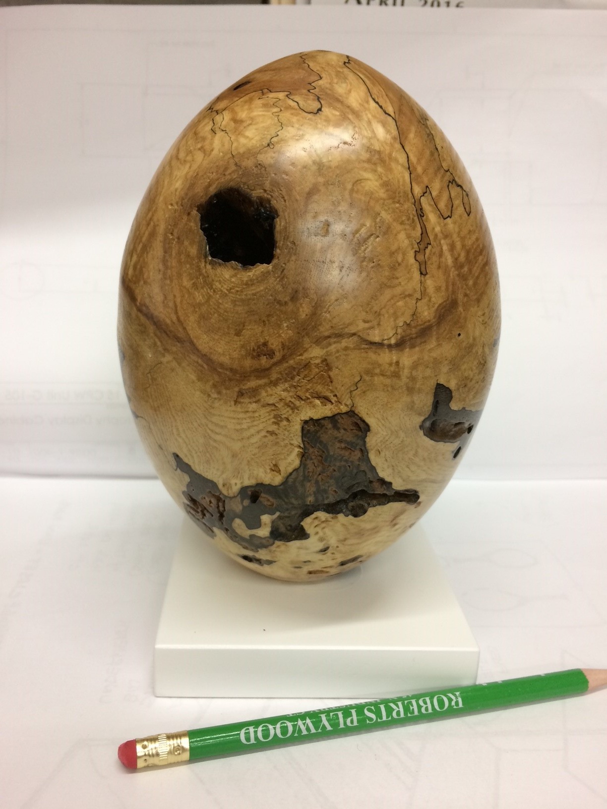 rotten-egg-american-association-of-woodturners