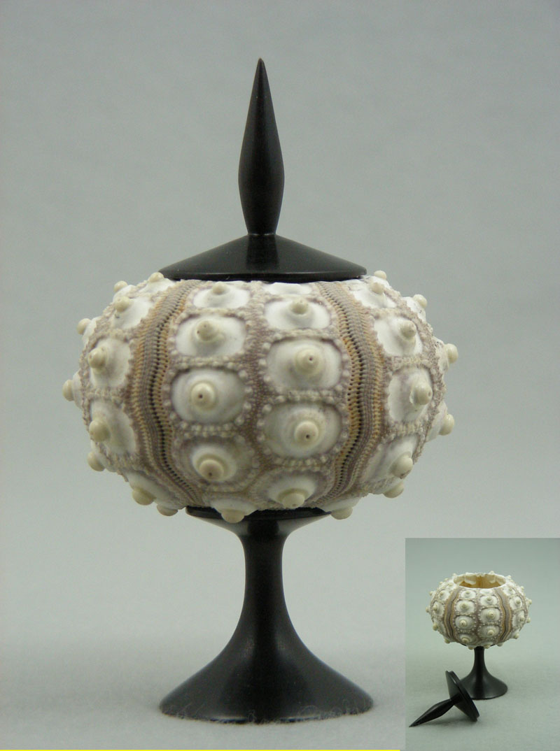 Sea Urchin Lidded Box