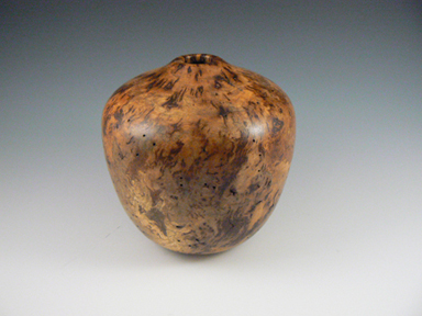 Silver Maple Burl