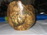 Spalted Elm