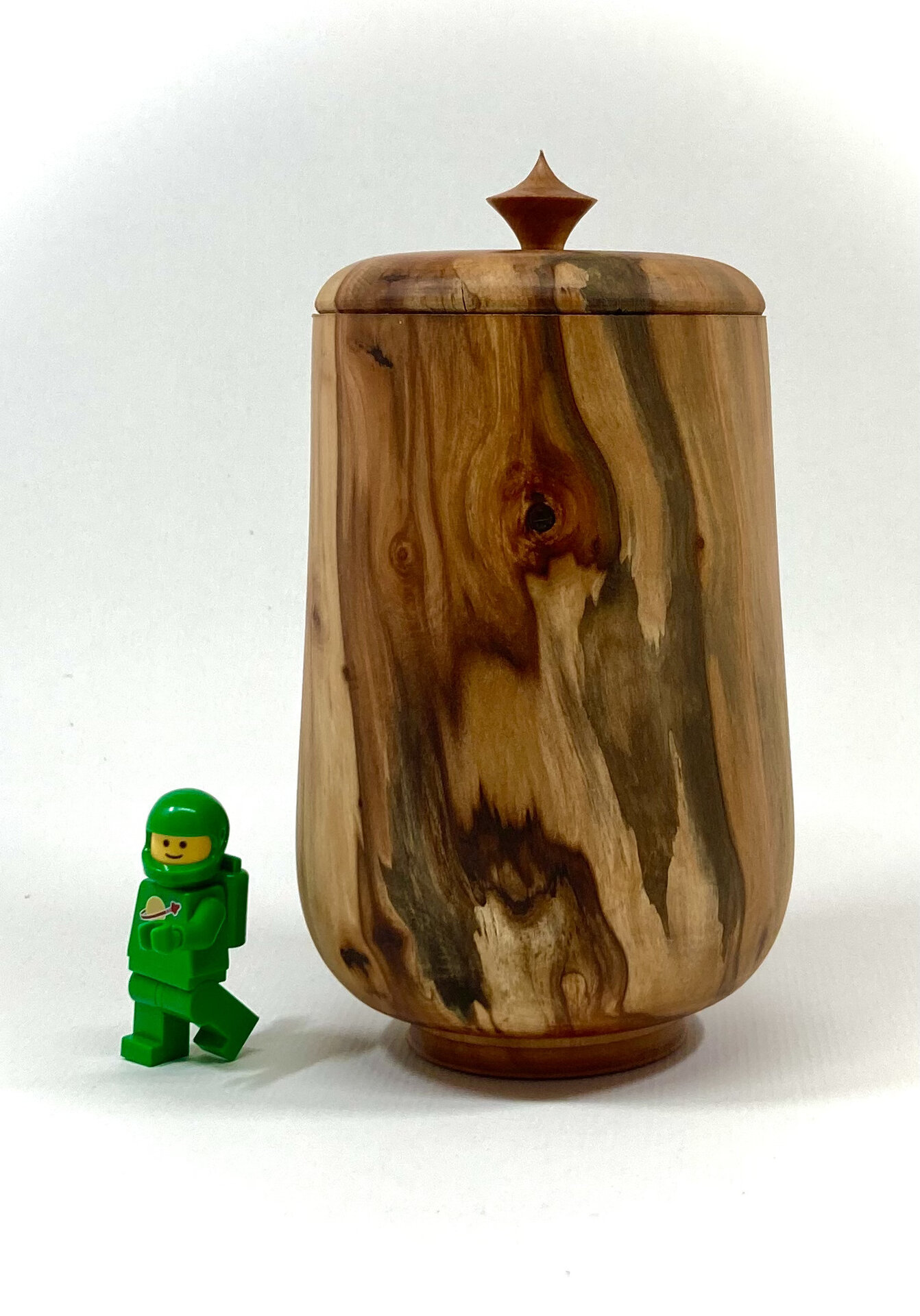 Spalted Pacific crabapple (Malus fusca)