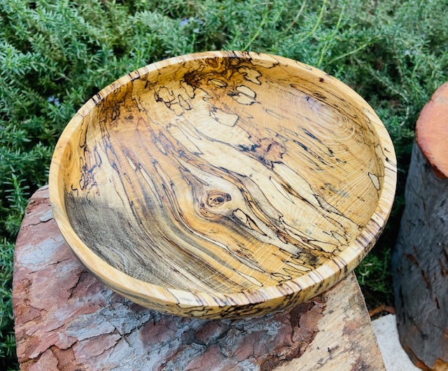 Spalted sugarberry