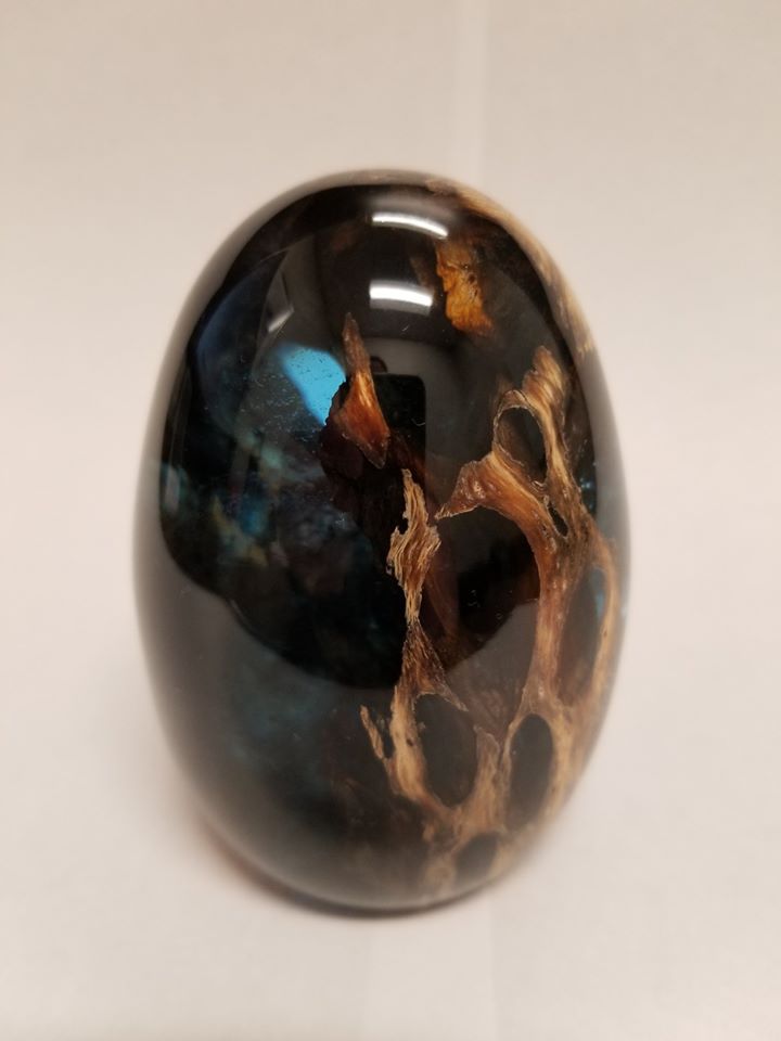 Stabilized Cholla/Resin Egg