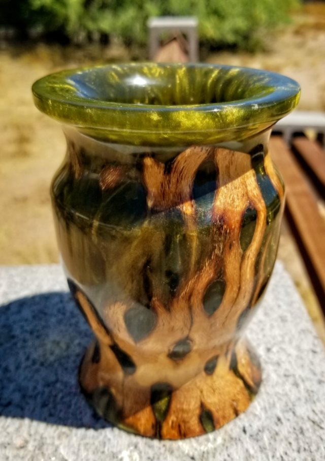 Stabilized Cholla Resin Vase
